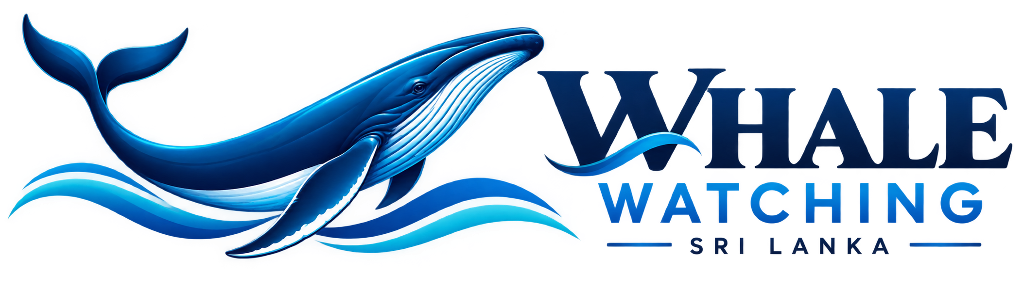 Whale Watching Sri Lanka